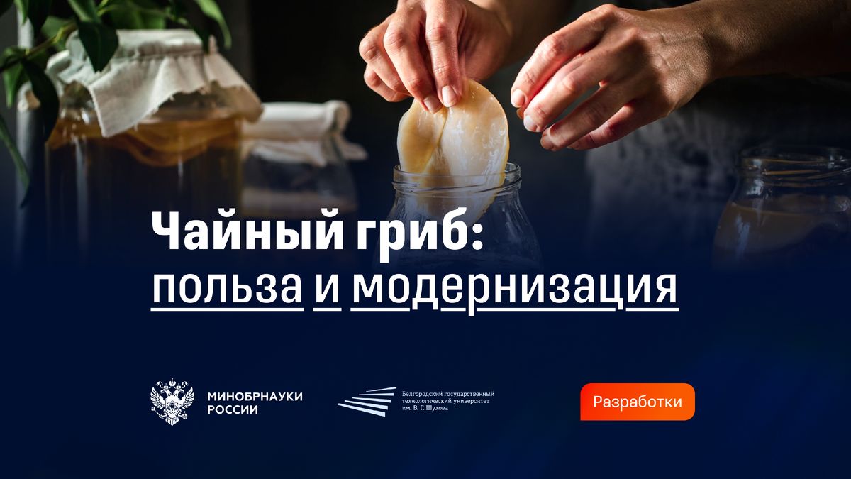 �������: ����� �������� ������� � ����������� ����