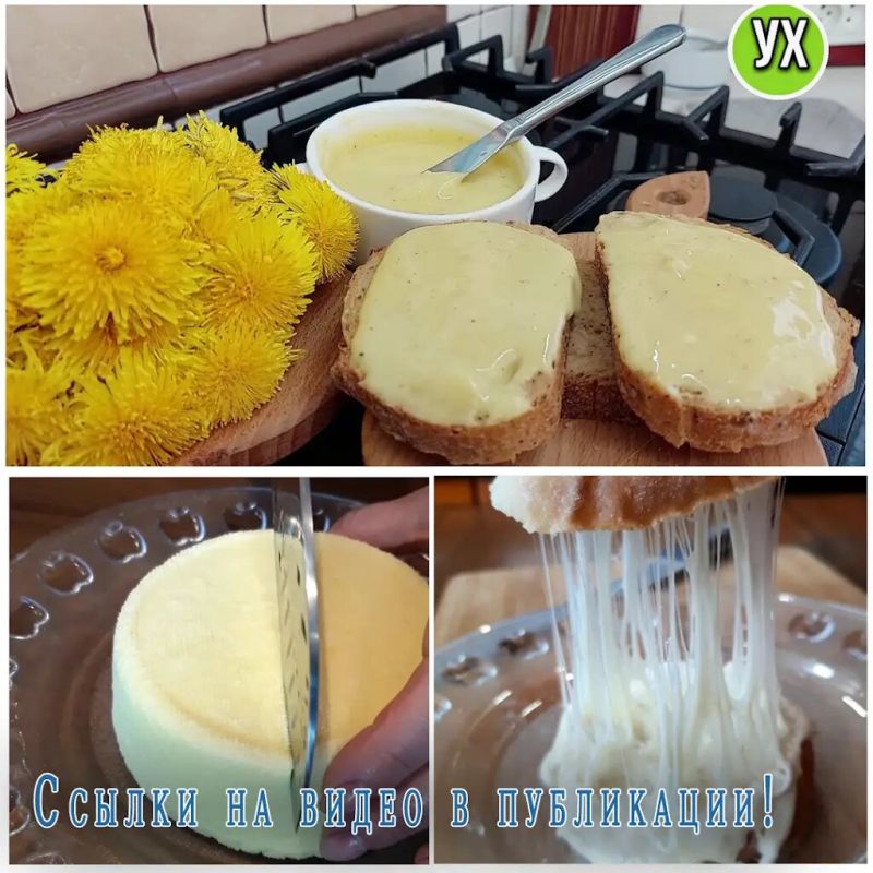 Сыр в домашних условиях: искусство и выгода