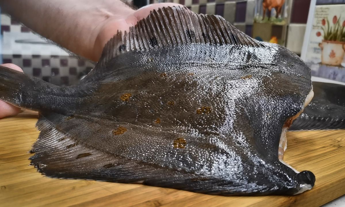 ��������� ������ ����������� ������� �� ��������������� �������