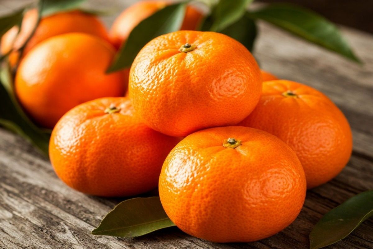 Полезные советы от Роспотребнадзора для новогоднего стола