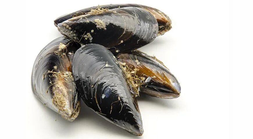 Мидии на сковороде: секреты идеального блюда и восемь аппетитных рецептов