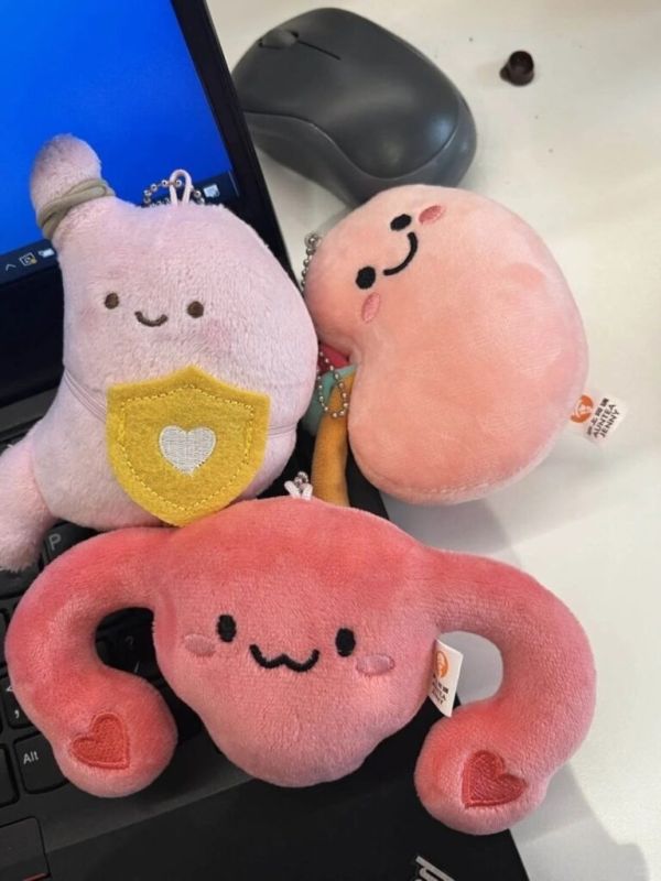 Шанхайская чайная матка: новые плюшевые игрушки необременительной концепции