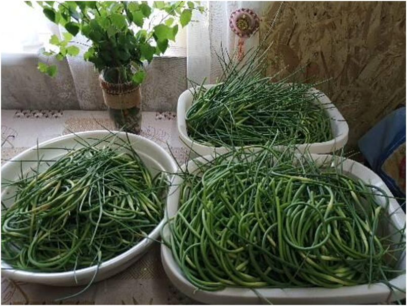 ���� �������� ��������� �������!