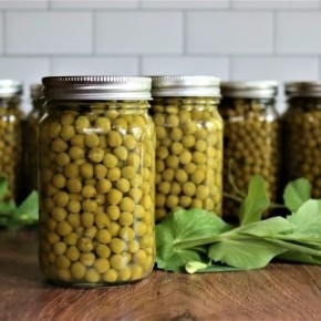 ���������������� �����: ��������� ����� � ������� ������, ������� ������ ��������