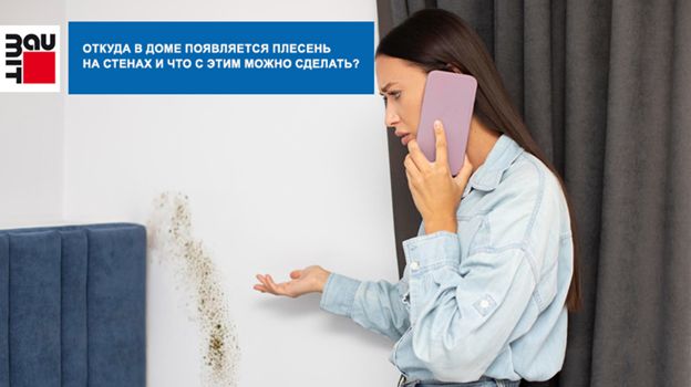 Когда стены дышат свободно — в доме исчезает ощущение сырости и плесень не возвращается