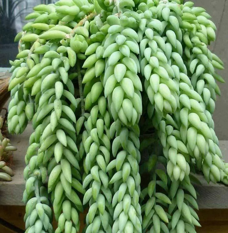 �����: ��������� ��������� ��� ���������� � �������