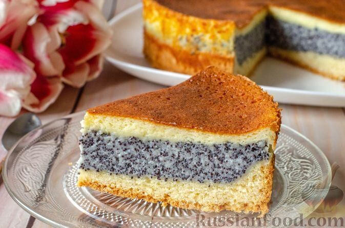 ������, ������� ������� �������� ����� � �����: �������� ��� ���� ������ �������