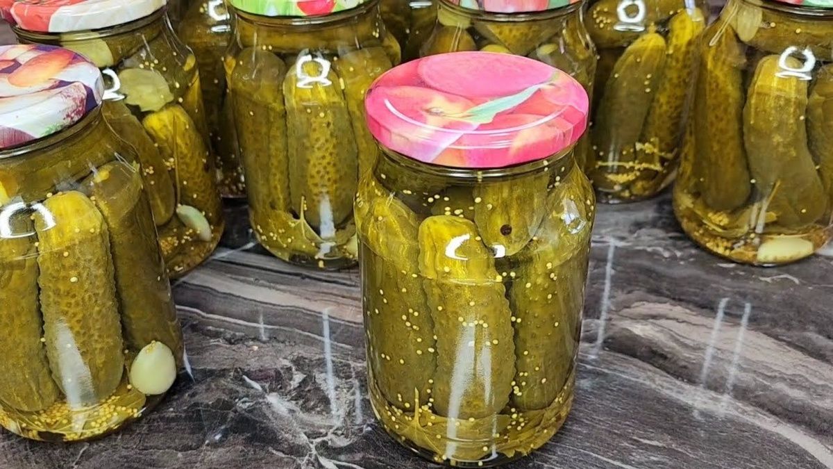 ���� ����: ��������� �����-������� ������������ ������