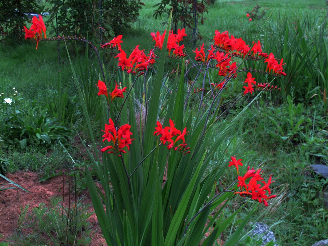 ����������: ��������� �������� ��� ������ ����