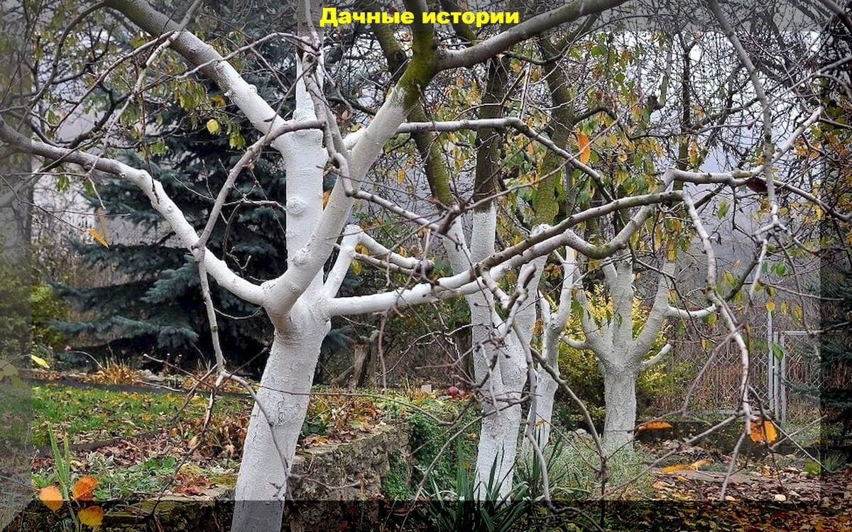 ������ ������� �������� � ������ ��� � ����� �� �����