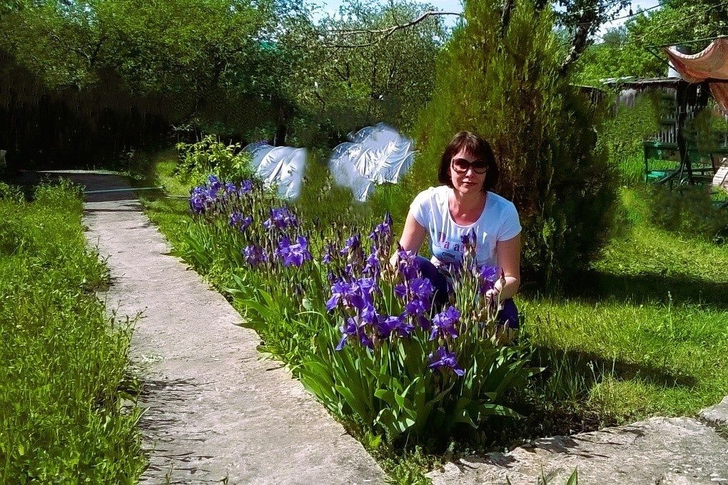 ���� �������: �������� ��������� �������� ������� � ������