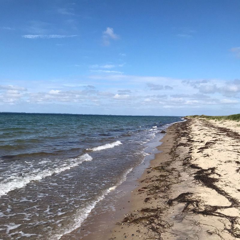 ��������� ����: ������ ������ �� ������