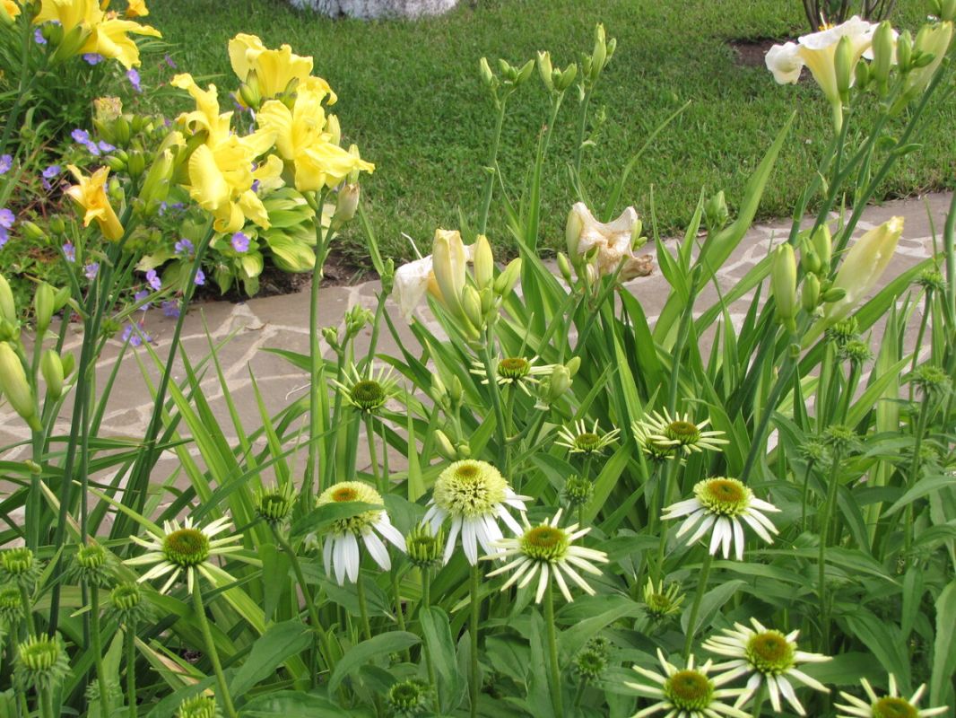 ��������: �������� ����������� ���������