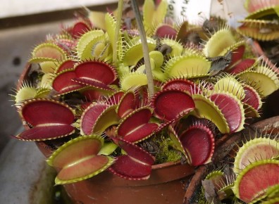 ���� ���������������� ������ � ����� �� ����������: ��� ����� �����