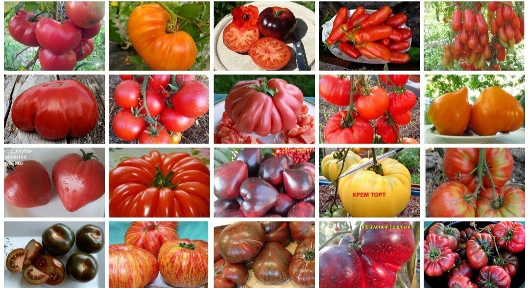 ������������� ������: �������� ������� ����� ��� ������ �������