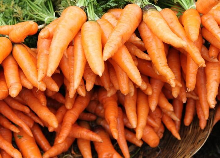 ������ �� ������ ������� � ������: ��� �������� ����� ���������������� ������