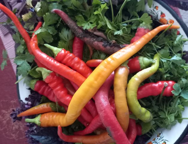 �������� ��������� ������ � ������������: ��� �������� ����� ����� ���������