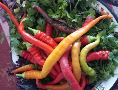 �������� ��������� ������ � ������������: ��� �������� ����� ����� ���������