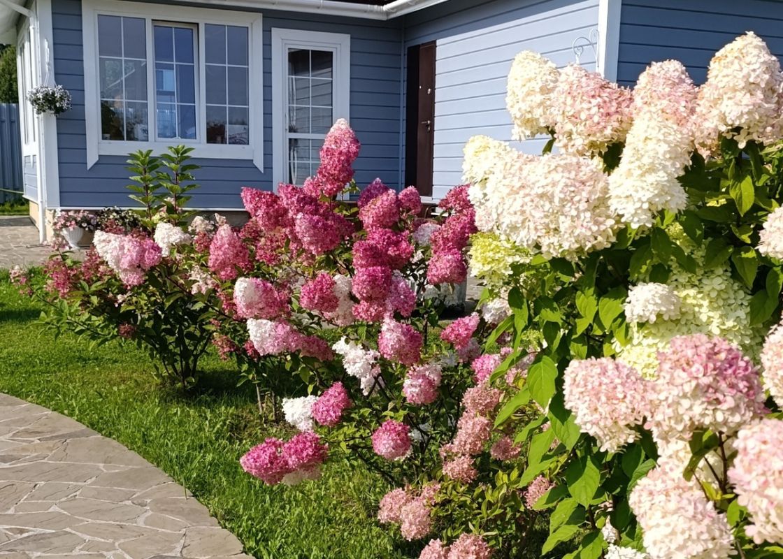 ��� ��������� ��������� ���������: ������� �������� ����� � ������������� ��������