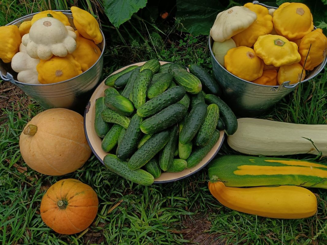 ������� ����: ��� ���������� �� ��� ��������� �������� ������ � �������