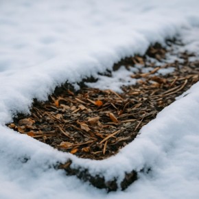 ������� ��������� ��������������: ��� ���� ������� ������ � ��������� ������