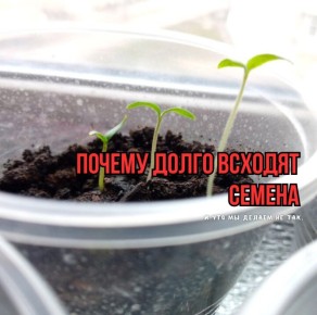 ������� �������� �������: ��� ���������������� ������, ������� ����� ��������