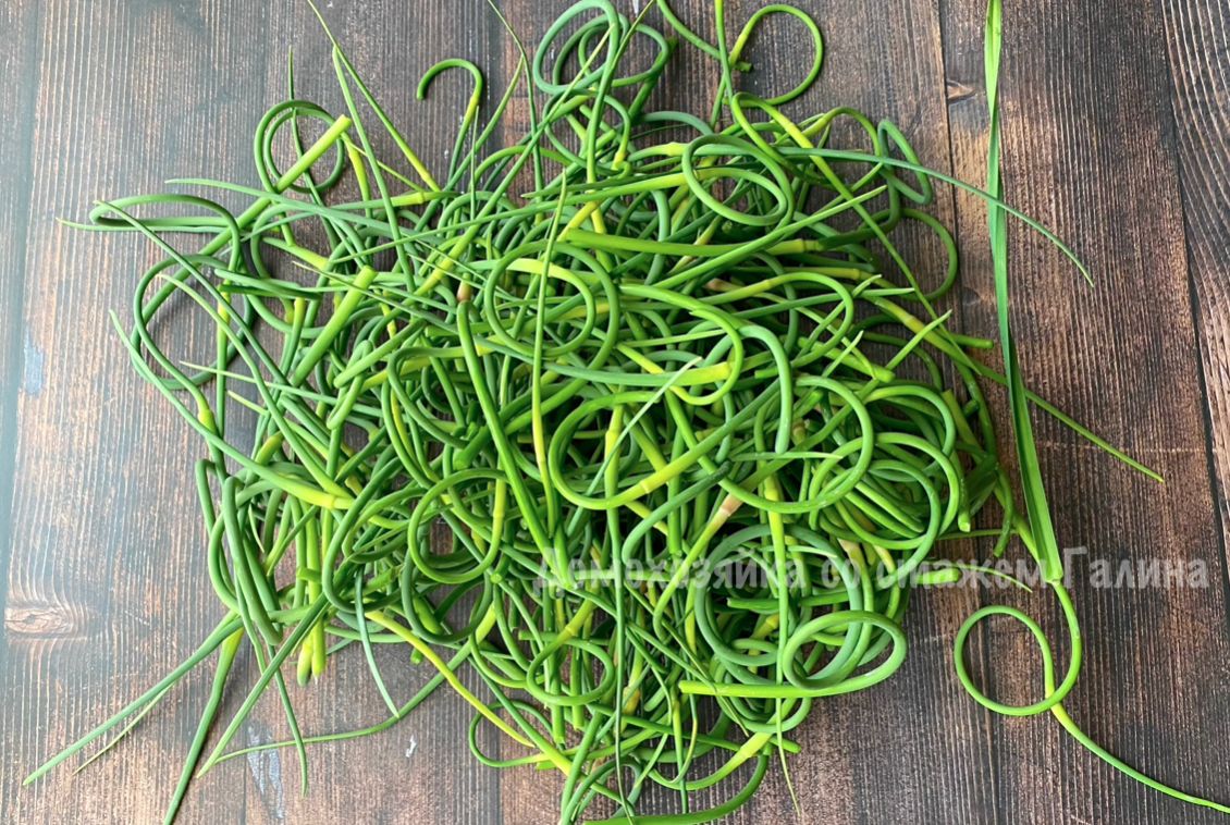 ��� ���������� ������������ ��������� ������� �� ����