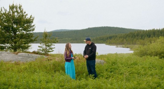 Иван-чай: загадки и тайны русского напитка