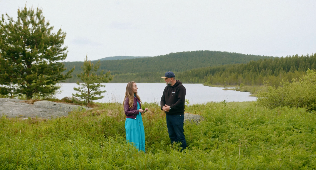 Иван-чай: загадки и тайны русского напитка