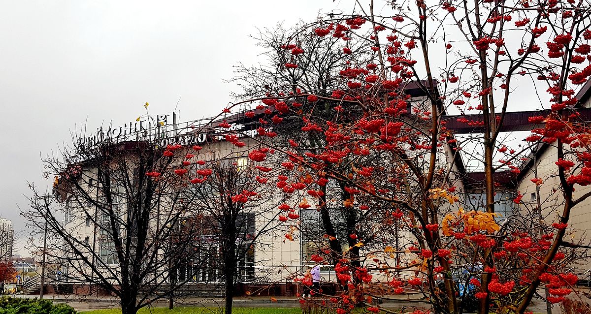 ���������� � ��������� ���������� ����� � ����� "�������"