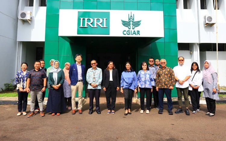 ��������� � IRRI ��������� �������������� � ������� �����������