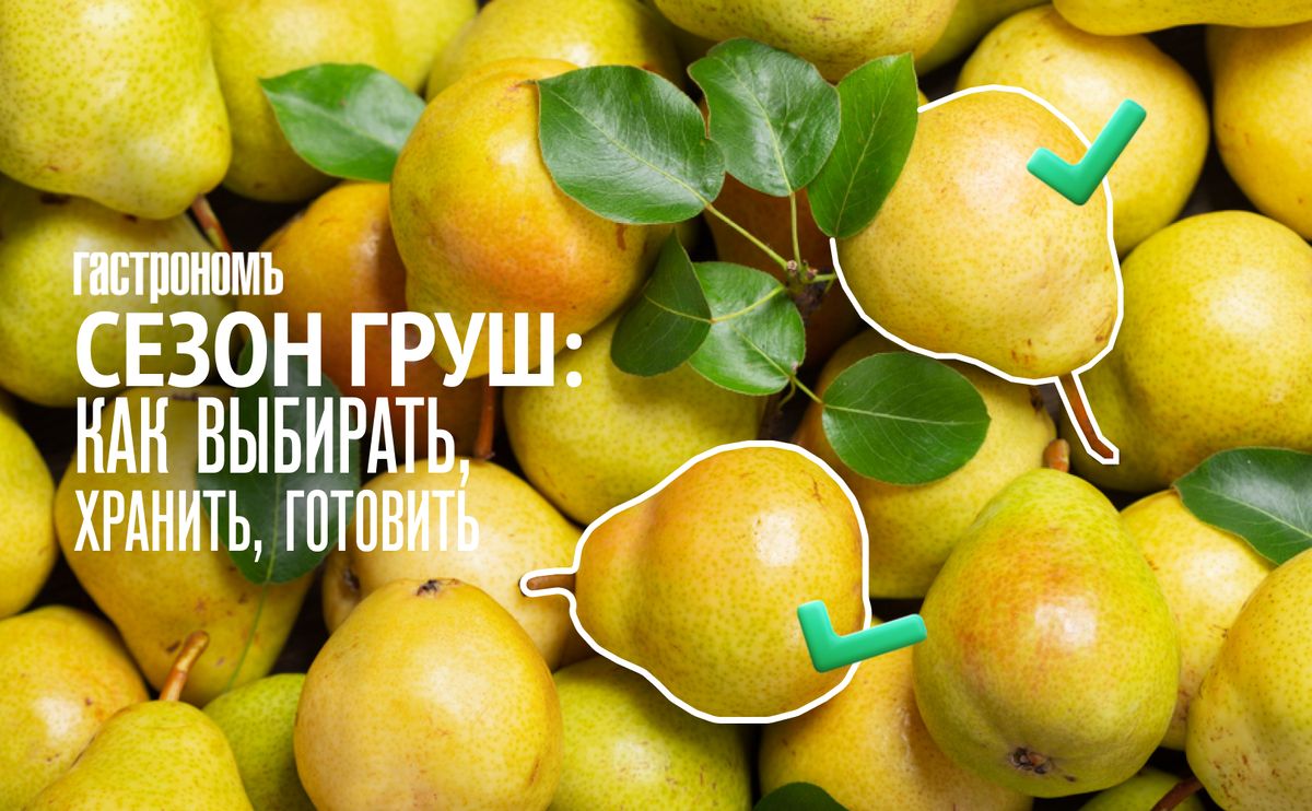 �����: ������� ������, �������� � ���������� ��������