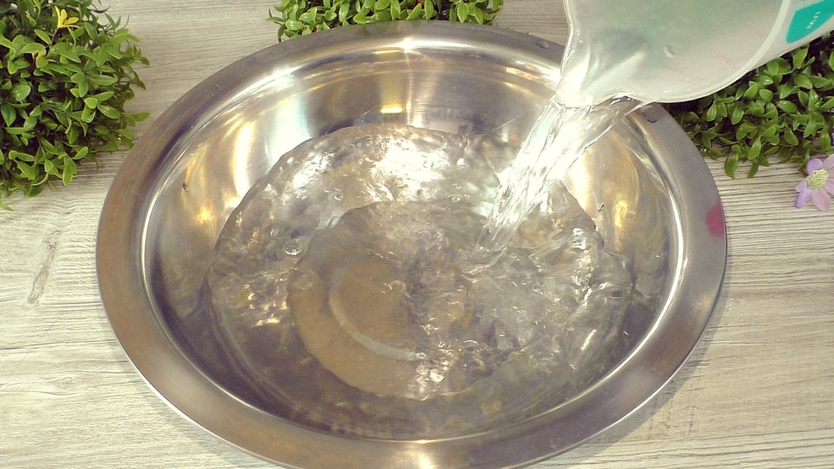 ������ ������ �� ����: ��� ������ ����������� ������� �����