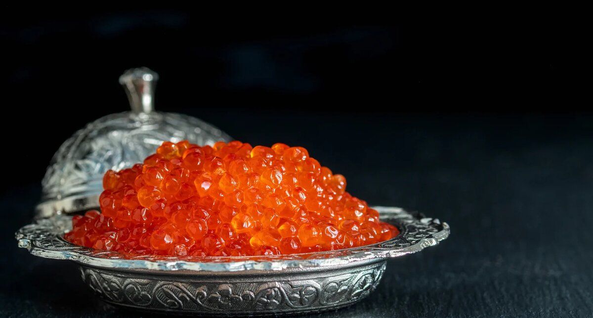 ������ ����� ���� ����: ���������� ������� ��������