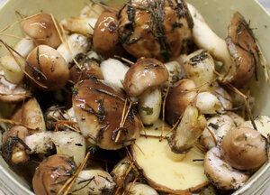 ������������ ������� ����������� ������