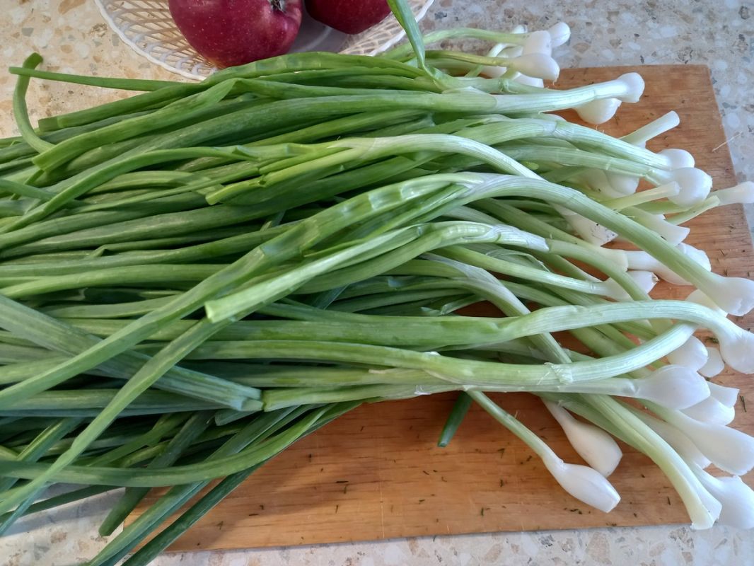 ��� ��������� ������������ ����� � ������ � ����, ����� ���������� �����