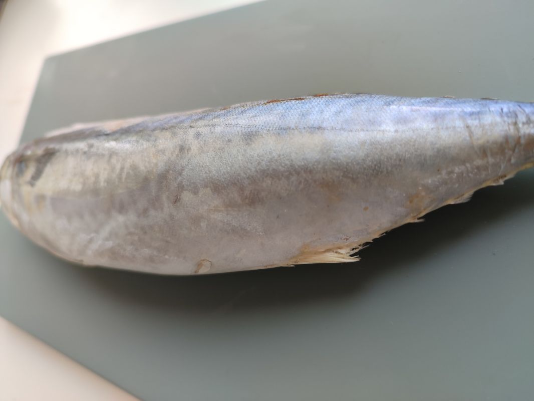 �������� �� ��������: ������� ������ ���������� ������ �� ����� �����