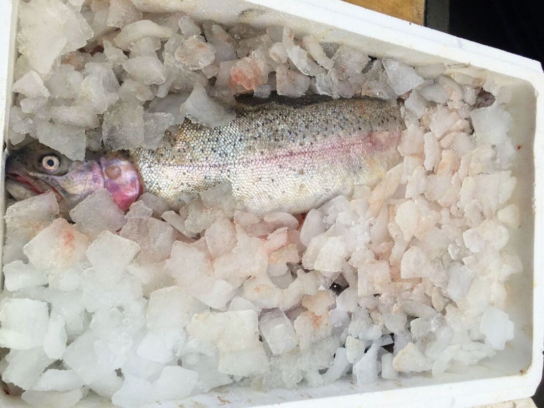 ��� ������ � ����� ����������� ��������� ������� �� ������ ��������� ������