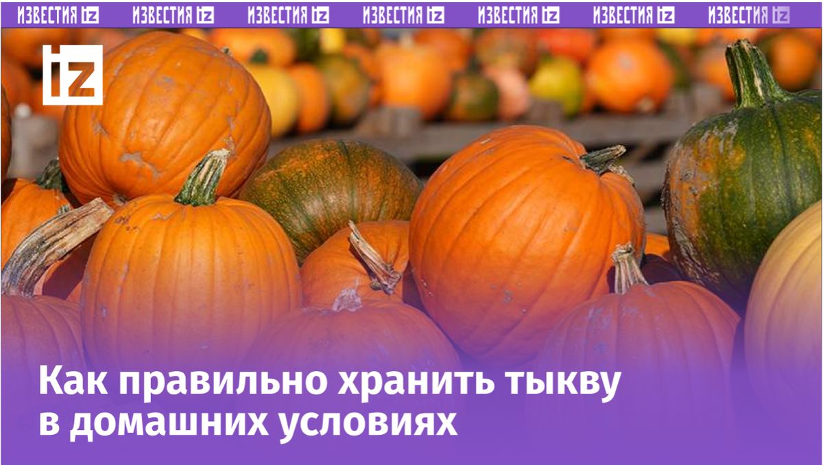 ������� �����: ��� ������� � ������� ���� ������� ���������