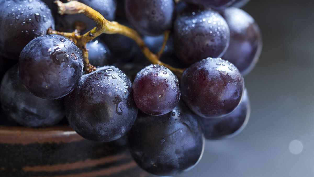 �������� � ����������: ������, � ������� �� �� �����