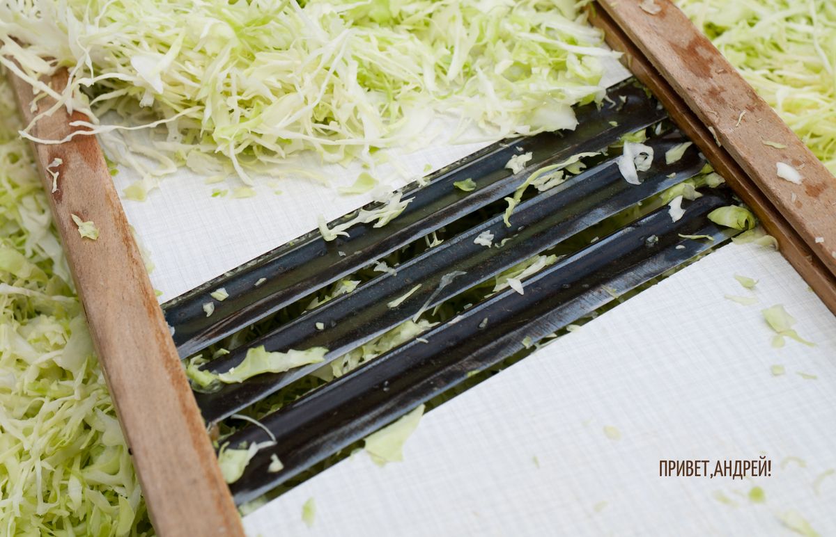 ����� ��������: ��� ����������� ������� �������� �������