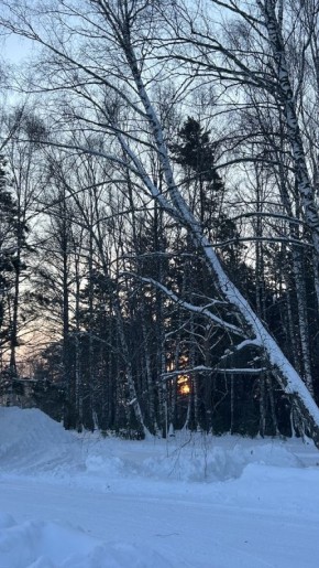 ������� ������� � �������� ������