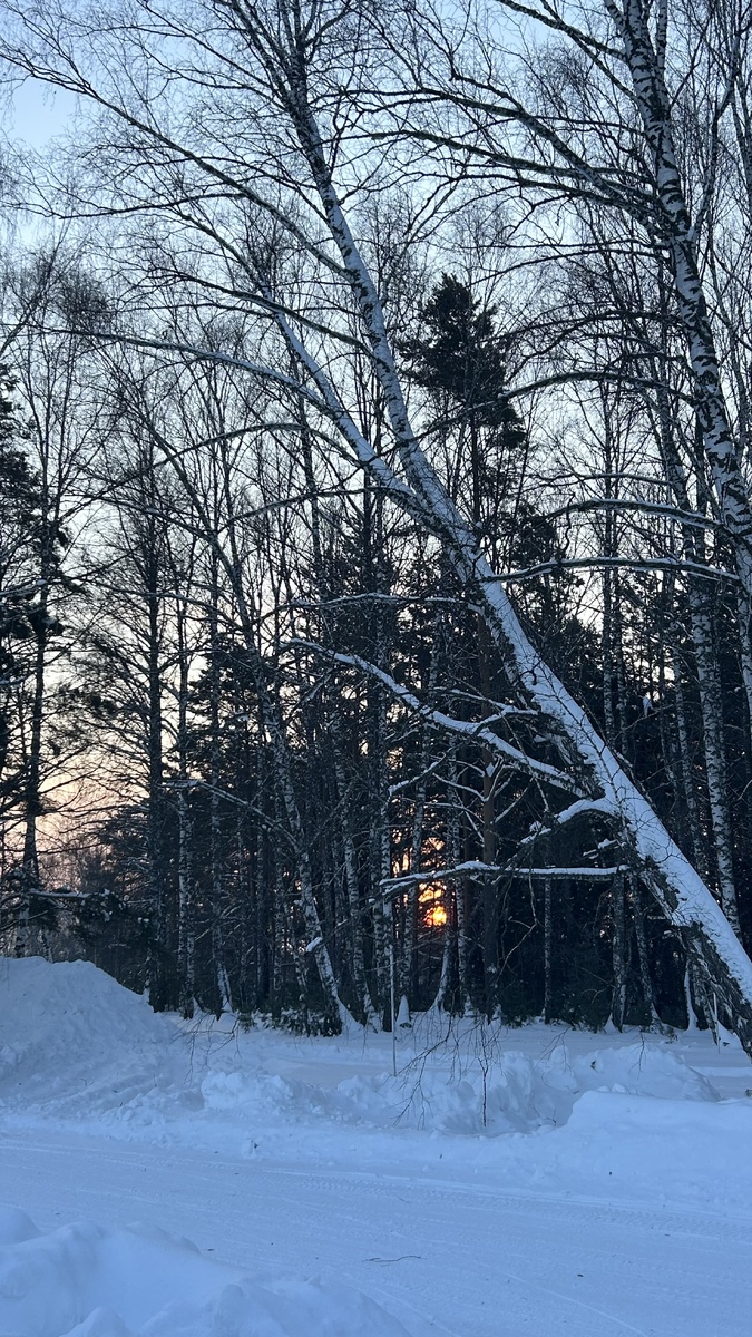 Вкусные моменты и активные вечера