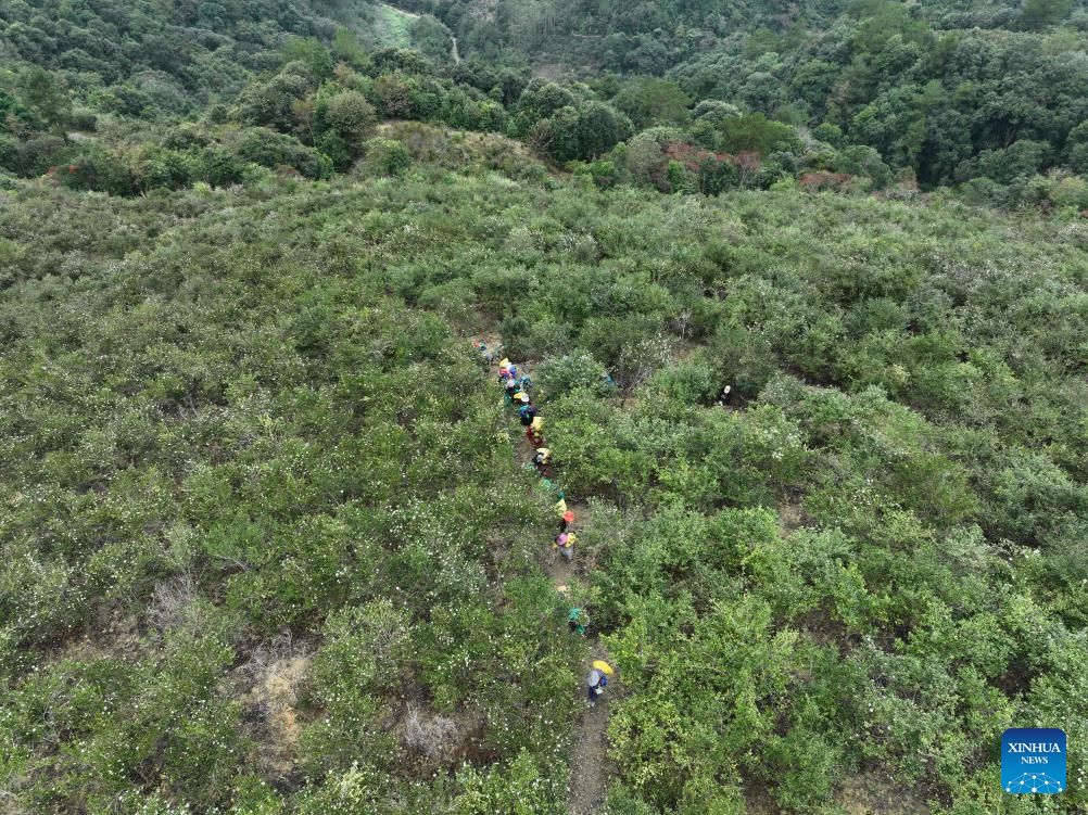 ���� ������ ������� ���������: ���������� ������� �� ������