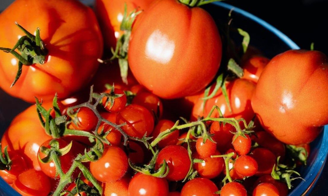 ������ � �������� ������: ��� ��������� ���������, ������� �����