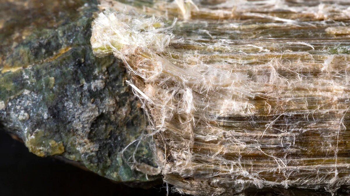 ������ ���������� �������� ������: ��� ����� �� ������� ������