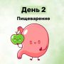 Кишечник как центр управления вашим здоровьем: что нужно знать о ЖКТ