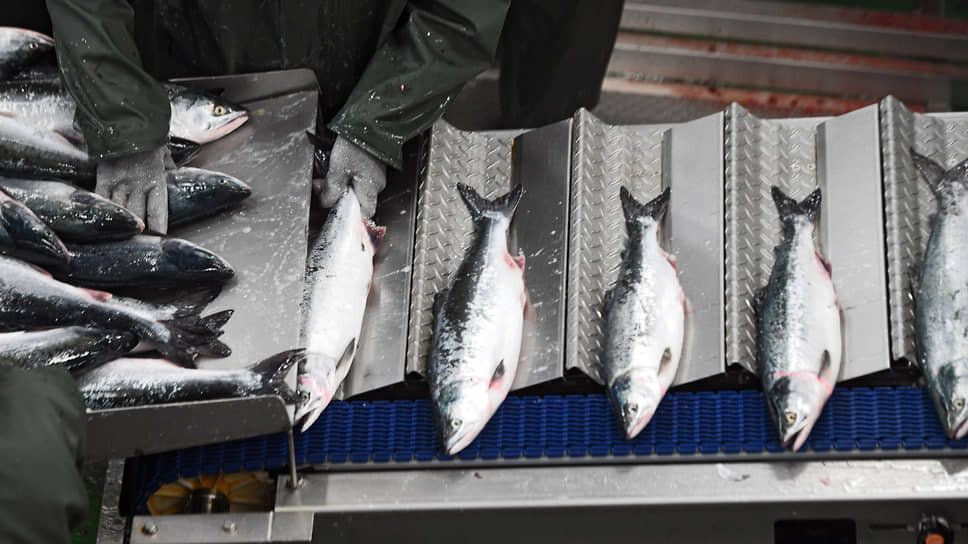 �������� ������� ��� �� ������� ����: ��� ����� �� ����������� �� �����