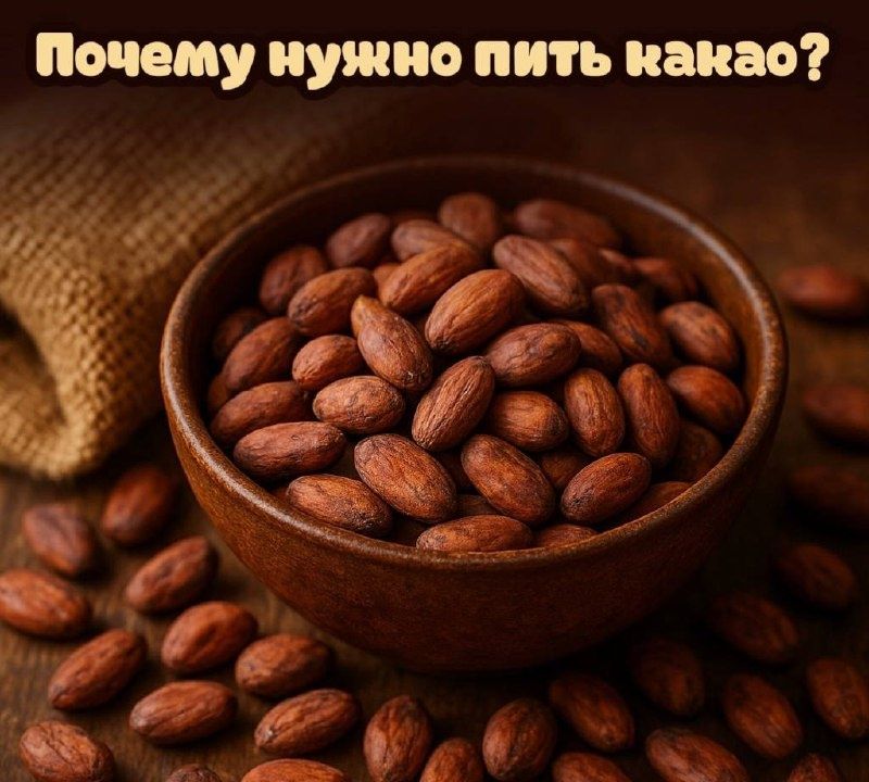 �����: ������ ���� ������� ����� ����� ����� ���������� ���������