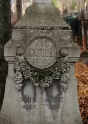 ������ ���� �������� � ���������� �������